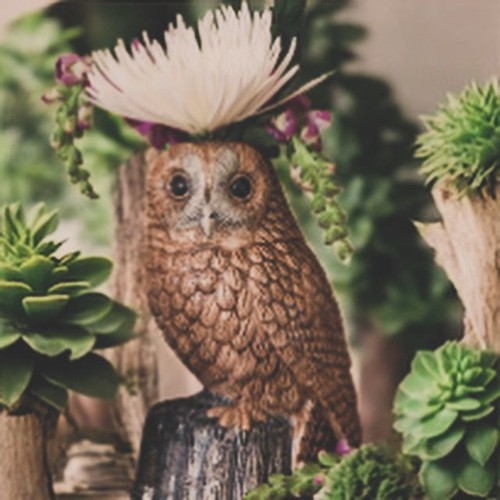 Quail ceramics tawny - quail,