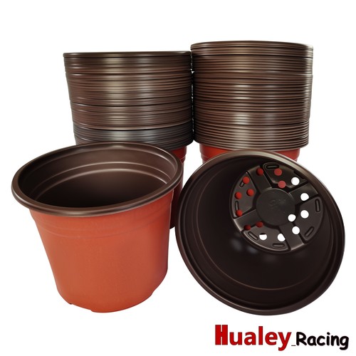 Flower herb nursery - flower, &