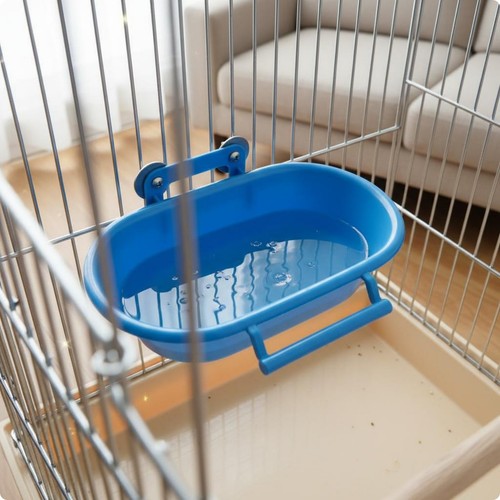 Parrot bath bowl sturdy - sturdy, bird