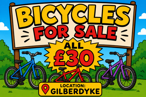 Adult mens and ladies - , bikes