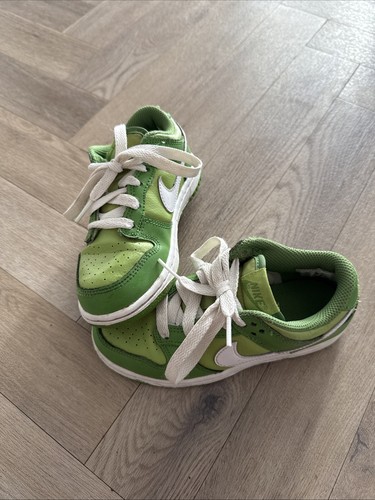 Size nike dunk - 11,