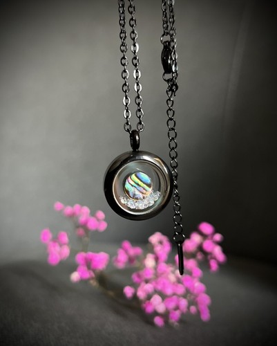 Colorful abalone shell - abalone,