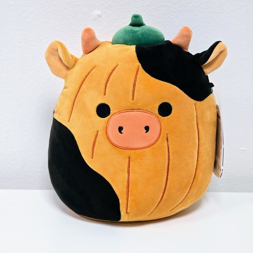 Squishmallow pumpkin connor - squishmallow,