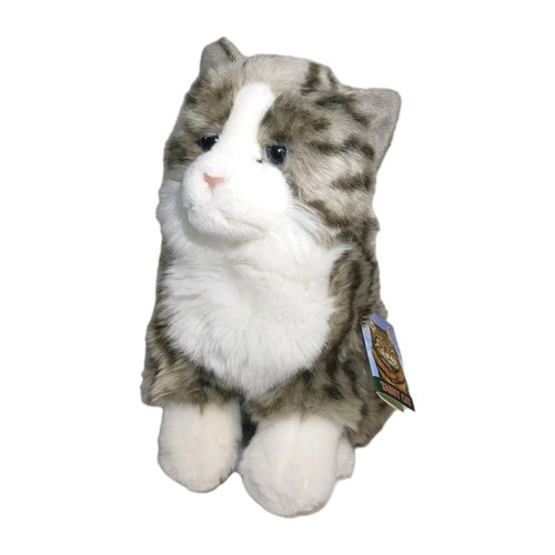 Sawley fine arts tabby cat - fine,