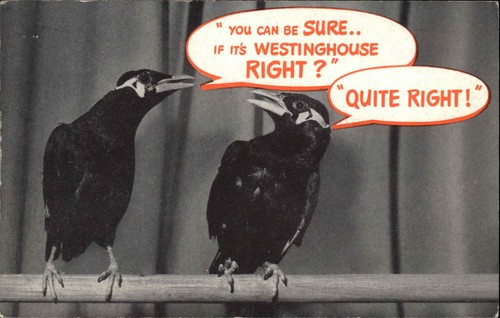 Westinghouse talking birds - talking,