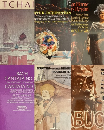 Vinyl lot tchaikovsky - lot,