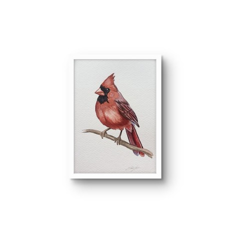 Original bird watercolor - bird,