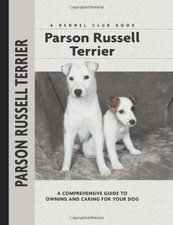 Parson Russell Terrier