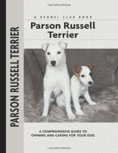 Parson russell terrier - parson,
