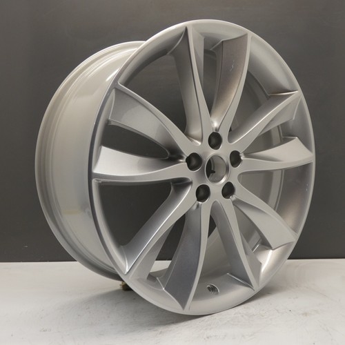 Jaguar hydra portfolio - xf, 20"