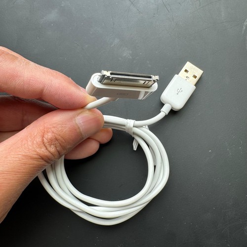 Genuine apple pin - apple, usb
