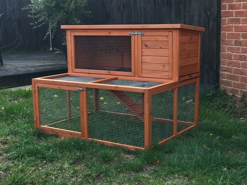 Rabbit guinea pig - guinea, hutch