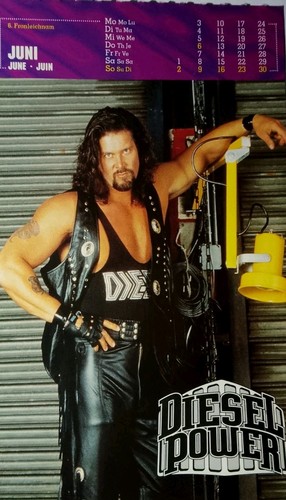 Wwf big daddy cool diesel - wwf,