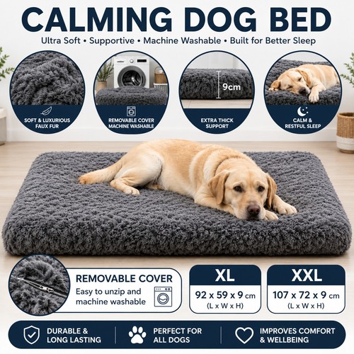 Large calming dog - calming,