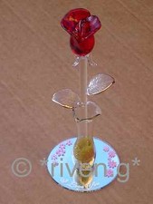 SINGLE STEM Red Rose in