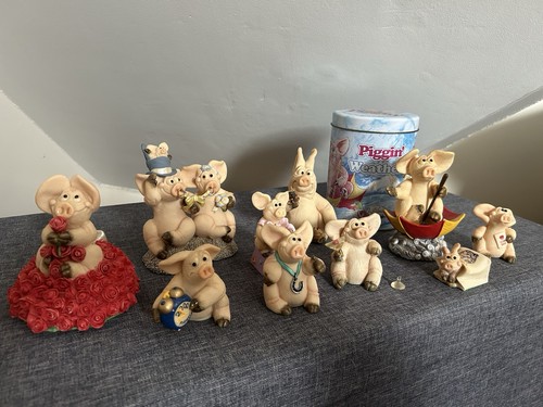 Piggin pigs collection - pigs,