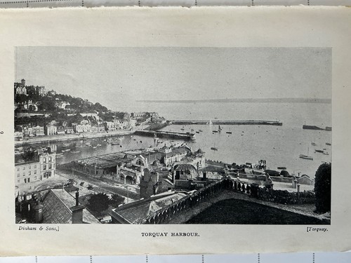 Torquay harbour 1921 - harbour,