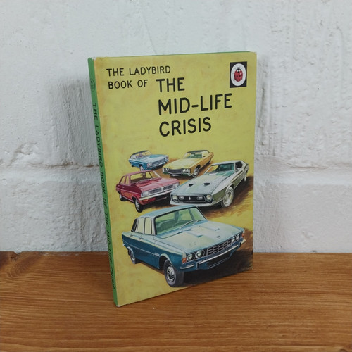The ladybird book - book,