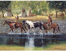 Native American Horse Cross