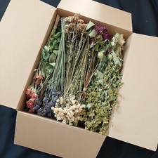 DRIED FLOWERS For arrangement