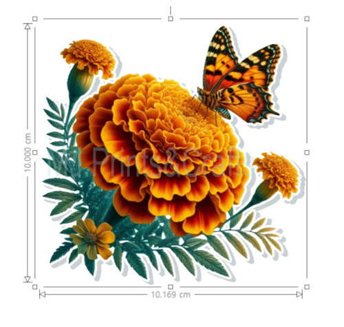 Marigold flower stickers - marigold,