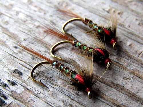 Ifs cruncher nymph irish lough - ifs,
