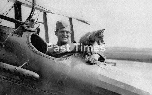 6003 wwi royal flying - royal, corps