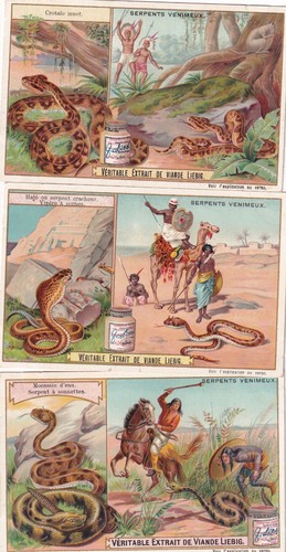 Liebig s748 cards - s748, venomous