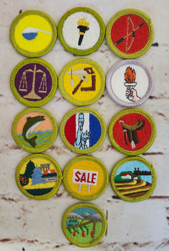 Bsa boy scout - boy, merit