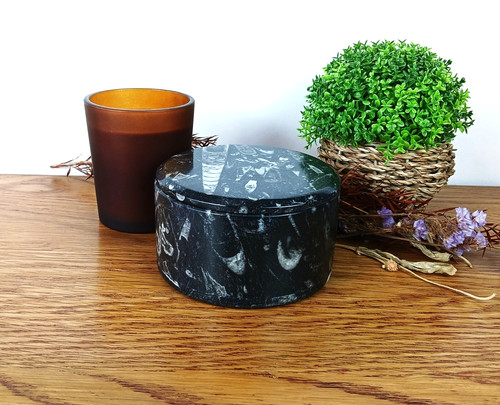 Round orthoceras fossil box - round,