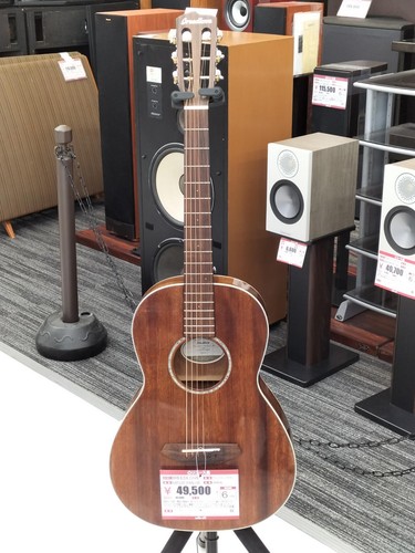 Breedlove pursuit parlor - breedlove,