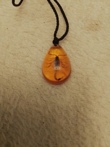 Amber with golden black - with,