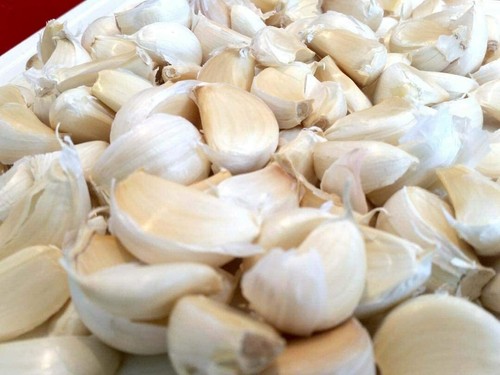 Large garlic cloves seeds - cloves,