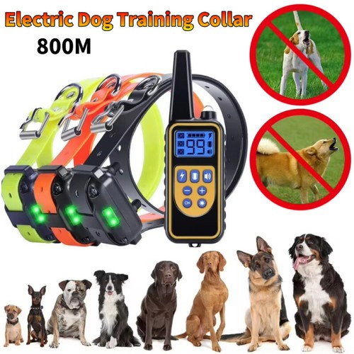 Electric training dogs pet - dogs,