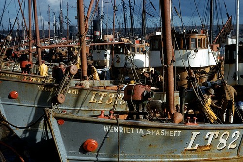 6x4 photograph of - (10x15cm),
