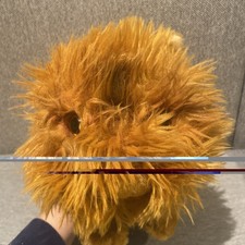 Harry Potter Hermione Cat