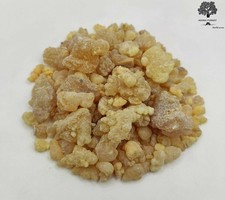 Frankincense Resin Large Tears