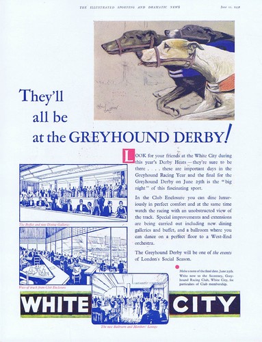 White city greyhound racing - racing,
