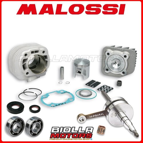 Cylinder kit shaft malossi - +,