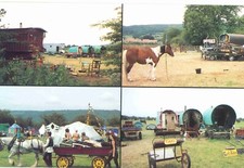 New Age Travellers Gypsies Big Green gathering print vardos wagons grys horses