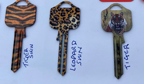 Big cats key - key, universal