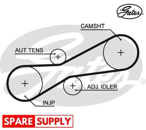 Timing belt for - timing,