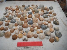 job lot of 120 mixed size/