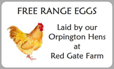 Orpington Hen Egg Box Labels