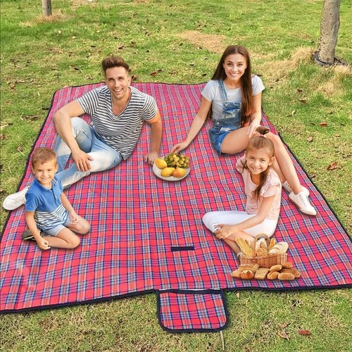 Tartan picnic blanket - tartan,