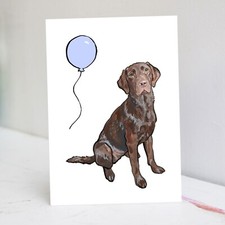 || Chocolate Labrador Birthday