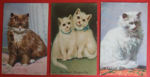 Old cat postcards cats - cat,