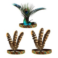 Indian headdress feather