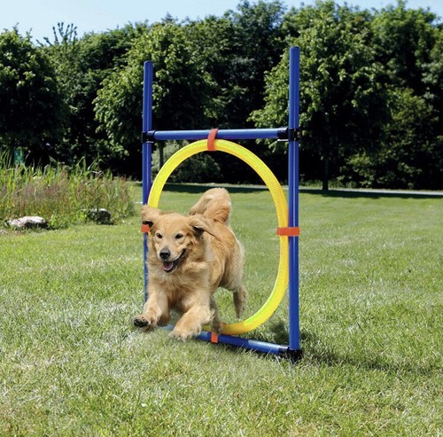 Agility hoop jump training - training, set