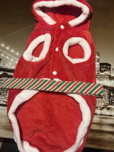Dogs outfit for christmas - outfit,